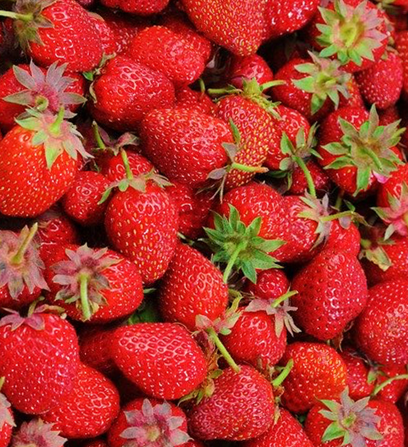 Warenautomat Erdbeeren - landwirtschaftliche Produkte